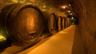 Illustration for article titled A Taste Of the World’s Five Must-See Wineries and Cellars This Harvest Season
